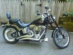 2007 Harley Davidson softail custom