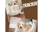 Tracker