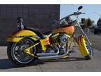 2001 Harley Davidson Softail Custom