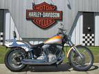 2005 Harley-Davidson FXST/FXSTI Softail Standard