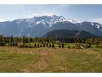 Lot for sale in Pemberton, Pemberton, Lot 1 Fraser Road, 262887862