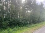 Lot for sale in Quesnel - Town, Quesnel, Quesnel, Lot 4 Valhalla Road, 262883092