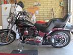 2009 Harley Davidson Softail Custom