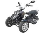 250cc Snow Leopard Trike Moped Scooter