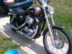 2004 Used Harley Davidson XL1200c Sportster 1200 - u1282