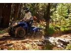 2014 Yamaha Grizzly 450 Blue NON-EPS ON SALE