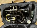 Skylark Brand Pocket Trumpet Mini Trumpet Silver Gold W/Case Used