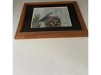 Original Wild Bird Pinecone Art Signed Painting Matted Framed Realism Nature
