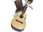 Giannini 1979 Classical Guitar Model AWN 6 w/ Case Made in Brazil Excellent
