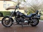 2002 Harley-Davidson Softail Screamin Eagle FXDWG