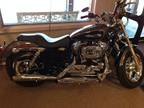 2014 Harley-Davidson Sportster 1200 Custom