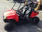 2014 Polaris RZR 170