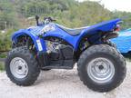 2009 Yamaha Wolverine 4x4 450