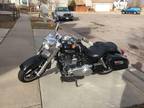 2012 Harley Davidson FLD 103 Dyna Switchback in Colorado Springs, CO