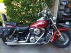 2002 Kawasaki Vulcan 1500 Classic