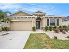 12031 Orchid Ash St, Riverview, FL 33579