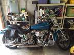 2001 Harley Davidson FXST Softail in Temple Terrace, FL