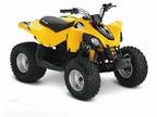 2011 Can-Am DS 90