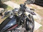 2008 Harley Davidson sportster 883 Custom