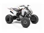 2010 Yamaha RAPTOR 250