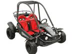 Brand New - go Cart 2-Seater - 110cc