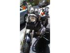 1991 Harley Davidson Sportster 1200