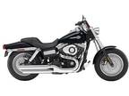 2009 Harley-Davidson Dyna Fat Bob