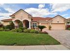 17923 Arbor Haven Dr, Tampa, FL 33647