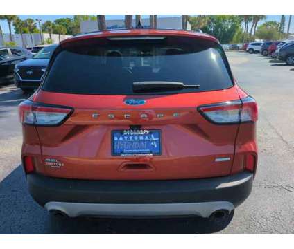 2020 Ford Escape SEL is a Orange 2020 Ford Escape SEL SUV in Daytona Beach FL