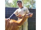 Zookeeper for over 10 years specializing in birds, reptiles and all types of