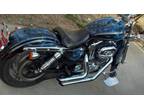 2005 Harley Davidson 1200 Sportster - Must See Custom Paint