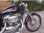 harley 2009 1200cc sportster