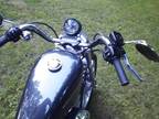 Harley Davidson****