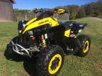 2010 Can Am Renegade 800 -