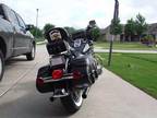 2007 HarleyDavidson Softail