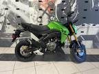 2024 Kawasaki Z125 PRO