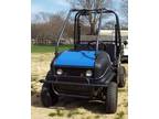 2013 Golf Cart/ TW200 Runabout UTV (Gas)