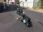 2012 ridgid chopper/bobber - $6500 (Bushnell)