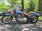 2001 Harley-Davidson Softail Standard FXST