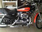 2009 Harley Davidson XL1200 in Van Buren, AR