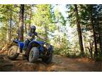2014 Yamaha Grizzly 450 NON EPS - ON SALE