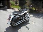 2008 Harley Softtail Deluxe