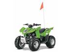 2014 Arctic Cat DVX 90