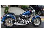 2001 Custom Harley FatBoy, Softail