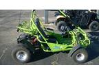 2013 TrailMaster TBM150 Full size Kart