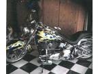 2003 Custom Built Harley Davidson Special Construction in Rodeo, CA