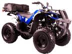 Brand New 250cc Gas Atv Fully Assembled Ready to Ride
