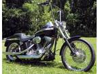 2003 HD Softail Standard (FXST) 100 Anniversary Ed.