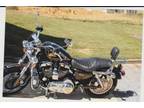 2007 Harley Davidson XL50 Sportster Anniversary Cruiser in Johnson Cit