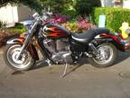 This is a nice used Honda Shadow 1100cc and also known as the "SABRE 1
